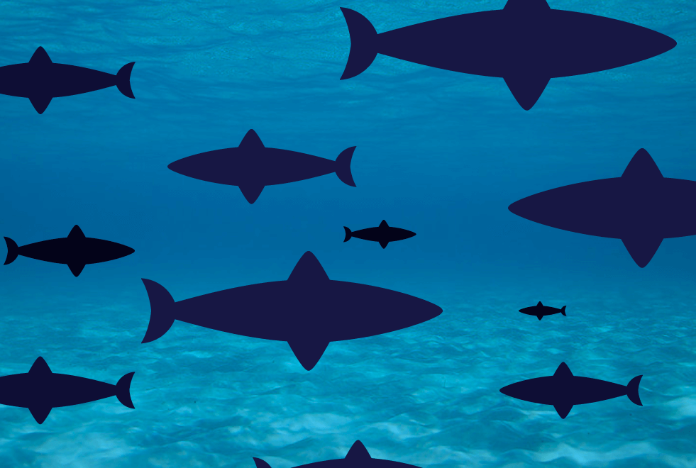 brain training - brain games : Fin