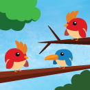 Perception training : Birdz