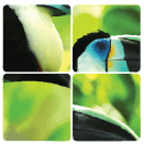 Perception training : Fuzzle