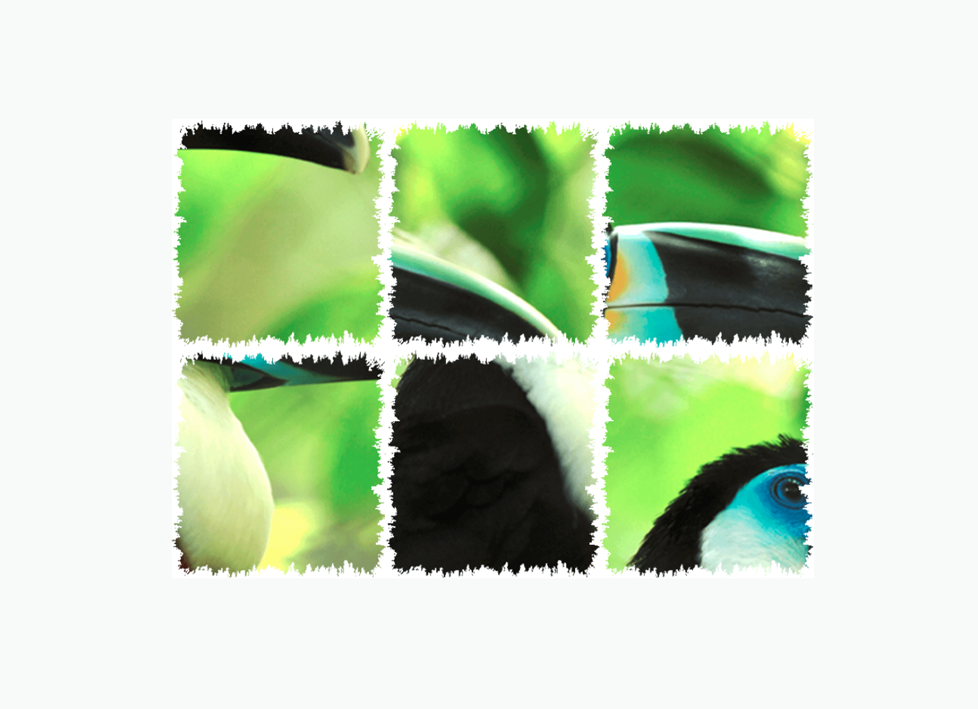 brain training - brain games : Fuzzle